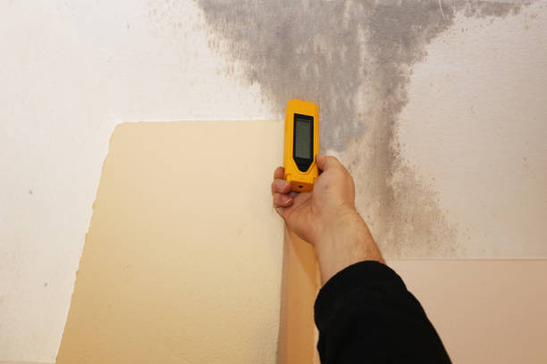 Best Asbestos and Lead Testing During Mold Inspection  in South Palm Beach, FL