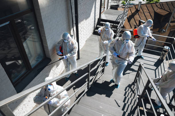 South Palm Beach, FL Mold Removal Company