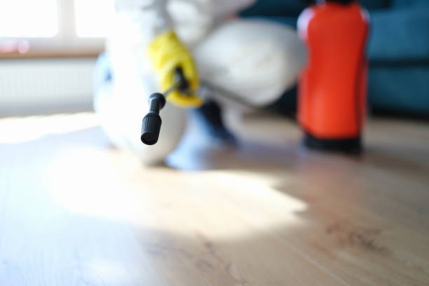 Best Real Estate Mold Inspection  in South Palm Beach, FL