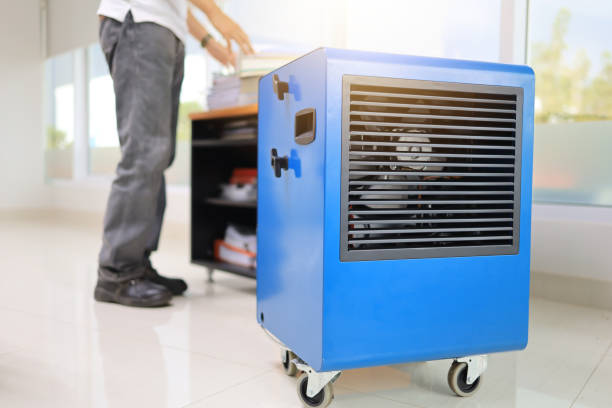 Best Airborne Mold Testing  in South Palm Beach, FL