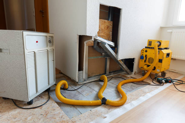 Best Comprehensive Air Testing for Mold Contaminants  in South Palm Beach, FL