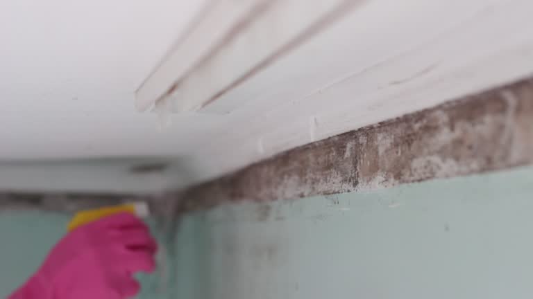 Best Post-Remediation Verification Testing  in South Palm Beach, FL